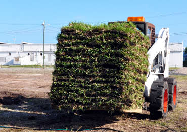 Bobcat Loader