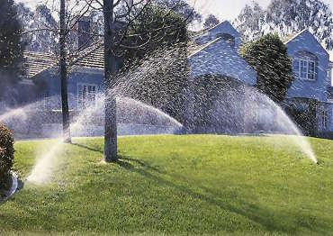 Sprinklers at Cascio Company