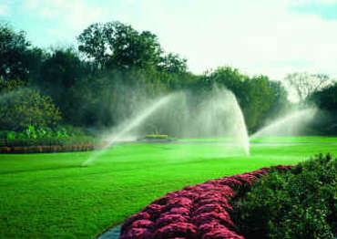 Sprinklers at Cascio Company