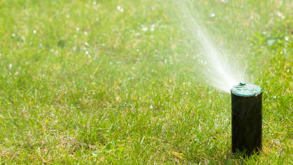 Residential Yard Sprinkler